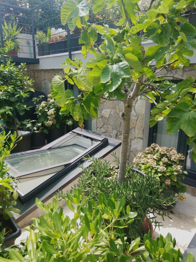 Artspace Location-Opatija-3 Bedroom House With Rooftop Garden By Beach Luaran gambar