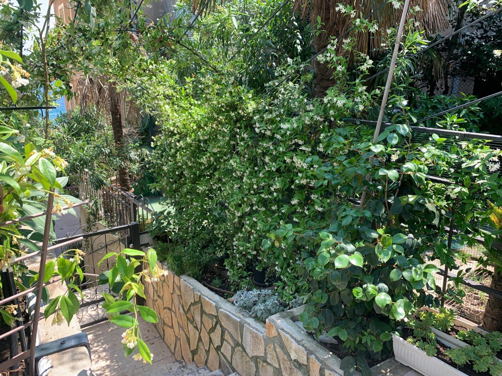 Artspace Location-Opatija-3 Bedroom House With Rooftop Garden By Beach Luaran gambar